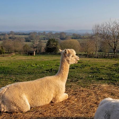 Charlie'S Cottage With Alpacas And 7Mins Drive To Alton Towers Denstone Extérieur photo